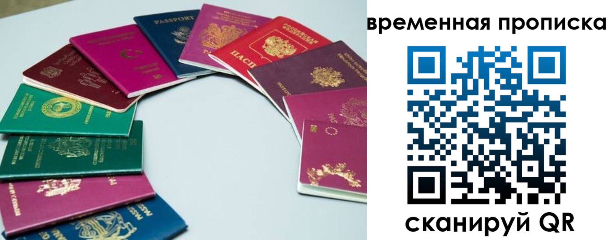 найти адрес прописки в Щиграх